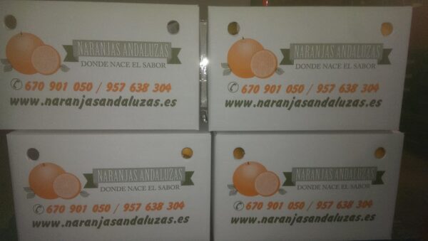 envio urgente de nuestras naranjas en cajas